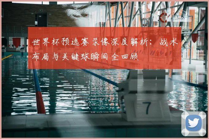 世界杯预选赛录像深度解析：战术布局与关键球瞬间全回顾
