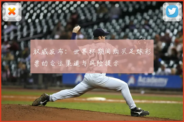 权威发布：世界杯期间购买足球彩票的合法渠道与风险提示